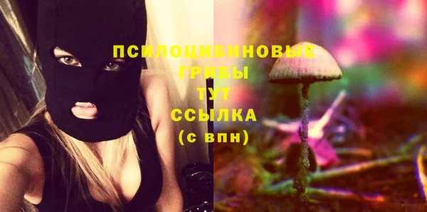 гашиш Инта