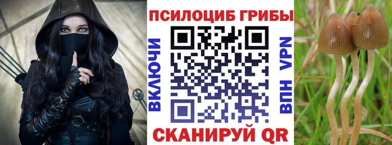 Купить закладки  Верхнеуральск  Псилоцибиновые грибы прущие грибы 